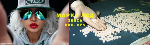 spice Богородск