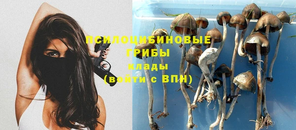 меф Богородицк