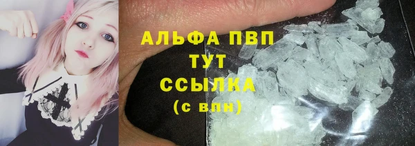 spice Богородск