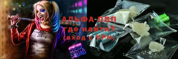 spice Богородск